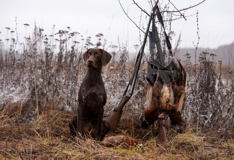 Équipements chasse et pêche Épernay